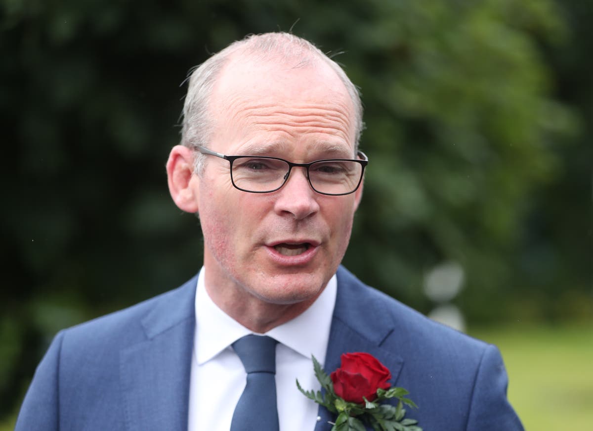 Ireland&rsquo;s support of Ukrainian sovereignty is &lsquo;unwavering&rsquo; &ndash; Coveney