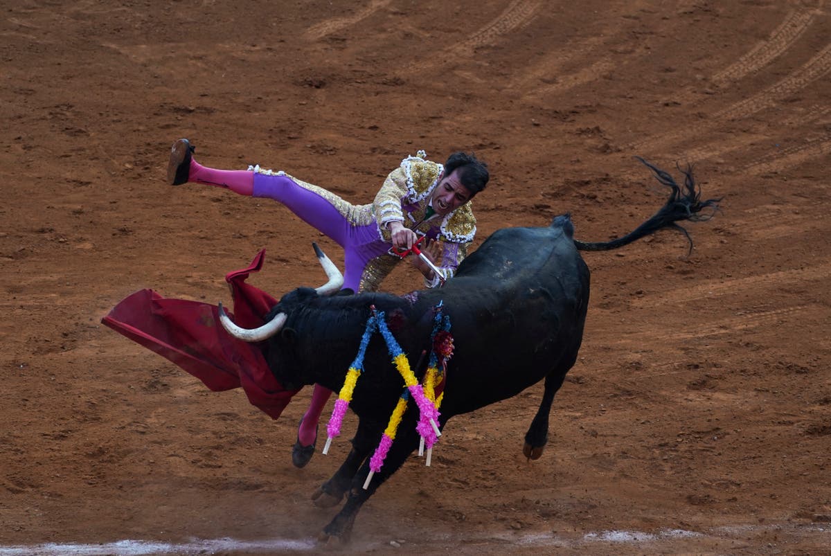 Mexico City legislature may ban bullfighting