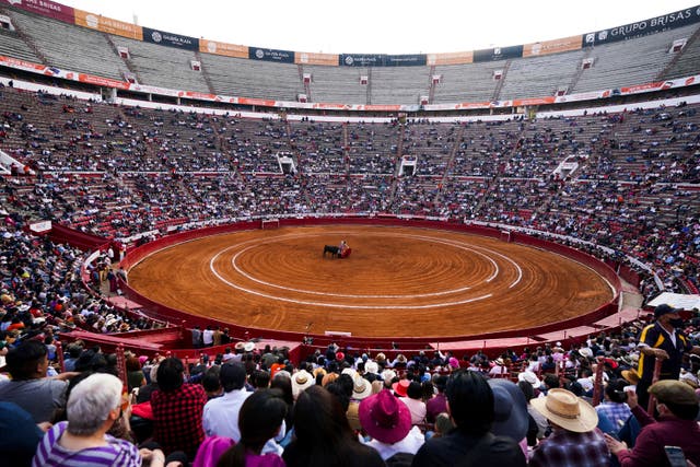 MÉXICO-TOROS
