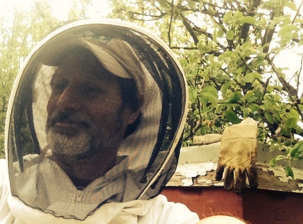 James Hamill said he expects thousands of his honeybees will die after ‘at least 40’ hives were turned upside down by disruptive weather (James Hamill/The Hive Honey Shop)