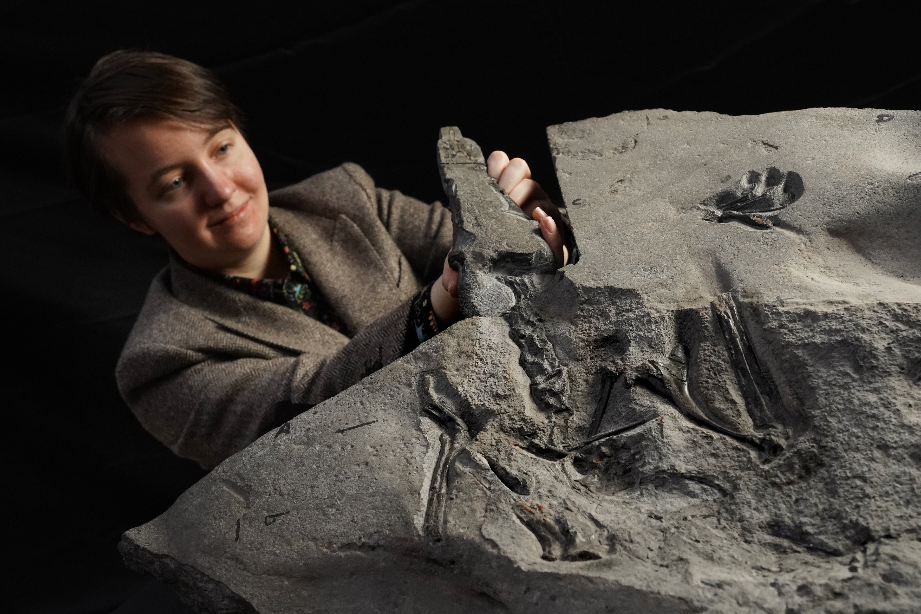 University of Edinburgh PhD student Natalia Jagielska with what has been hailed as the world’s largest Jurassic pterosaur fossil