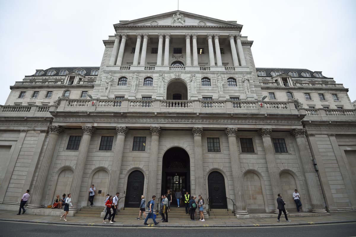 More &lsquo;modest&rsquo; rate hikes needed but uncertainty reigns, says Bank deputy
