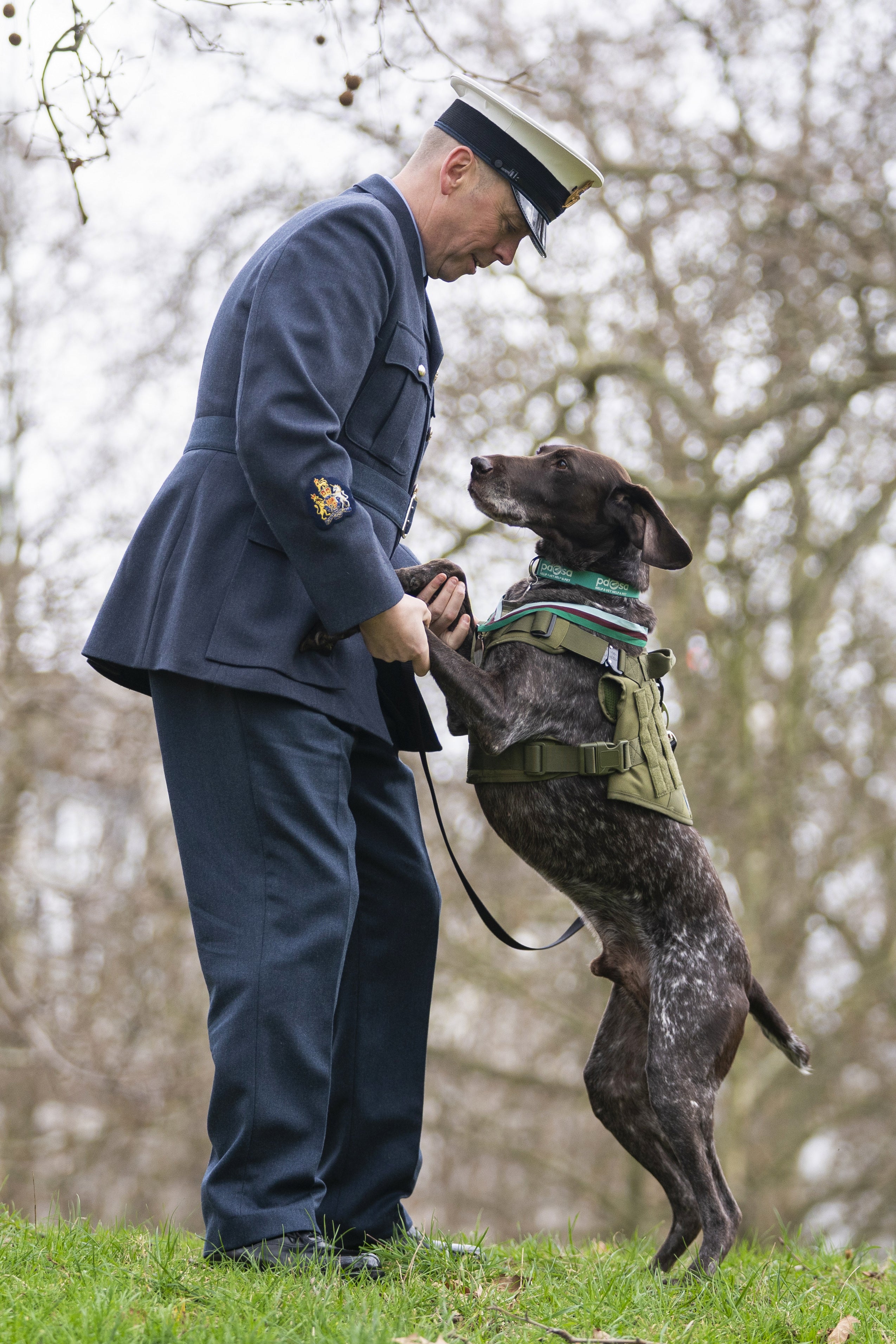 WO Jonathan Tanner said Hertz was ‘by far the best’ dog he had worked with (Kirsty O’Connor/PA)