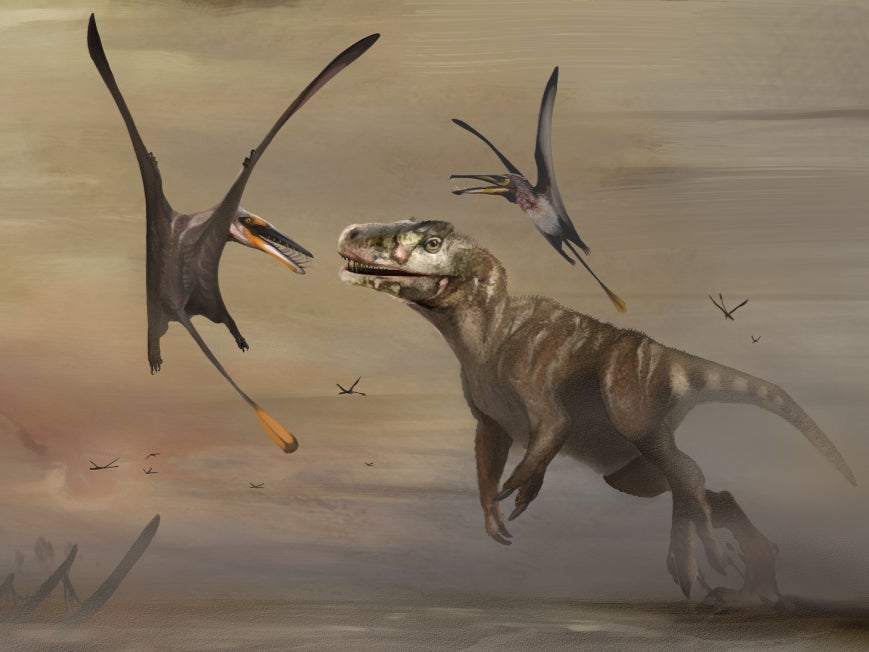 The pterosaur would have flown above Skye more than 170 million years ago