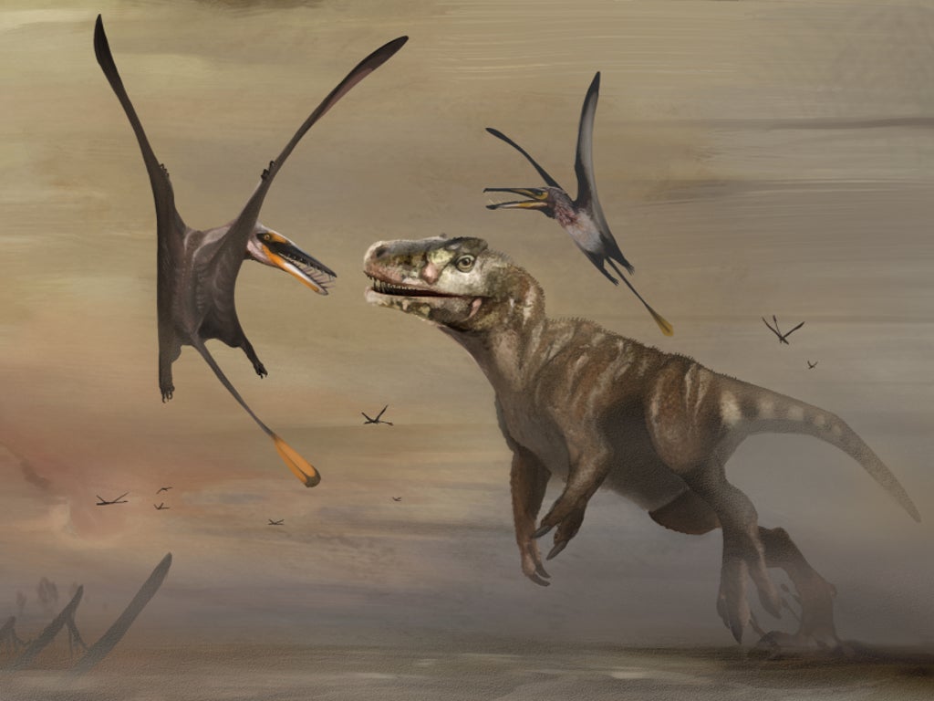 Fossil of world’s largest Jurassic flying reptile unearthed in Scotland in ‘discovery of the century’