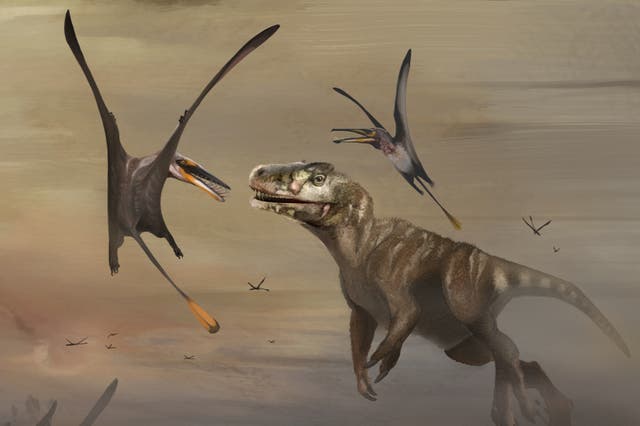 <p>The pterosaur would have flown above Skye more than 170 million years ago</p>