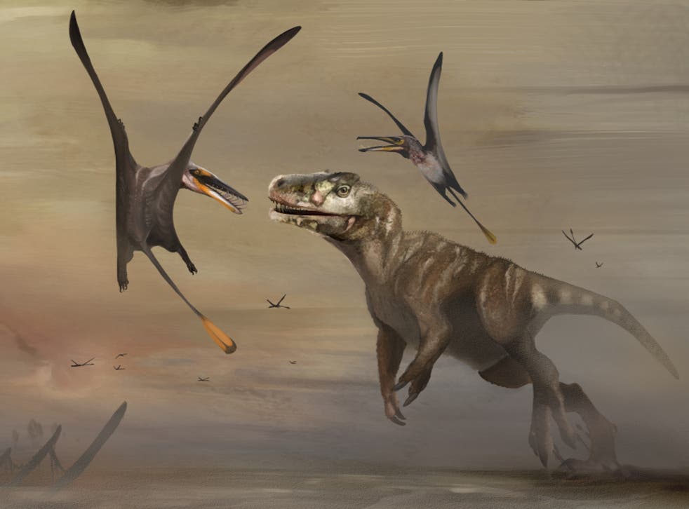 <p>The pterosaur would have flown above Skye more than 170 million years ago</p>