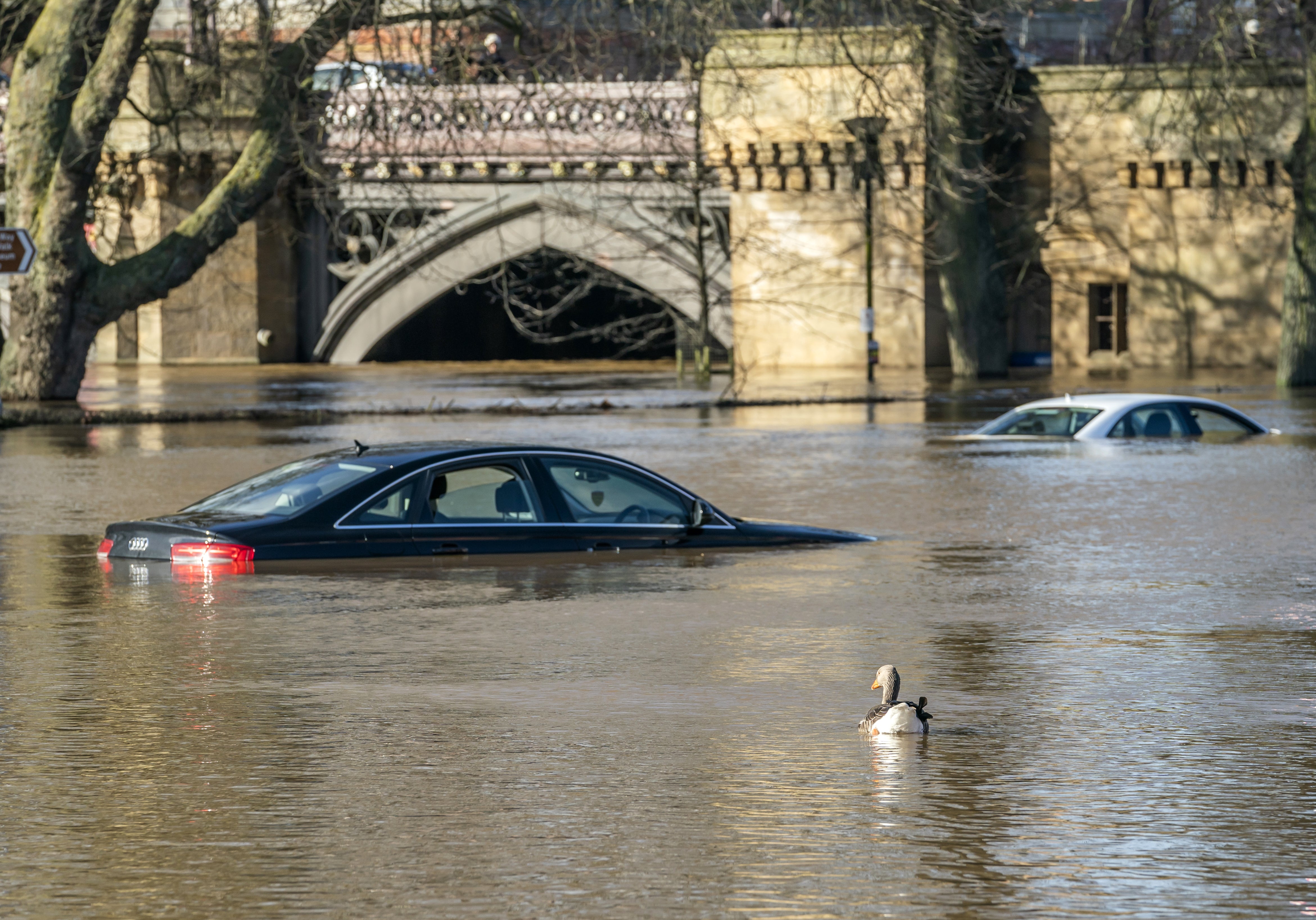 A goose swims past cars stranded in flood water in York after the River Ouse overtopped its banks (Danny Lawson/PA)