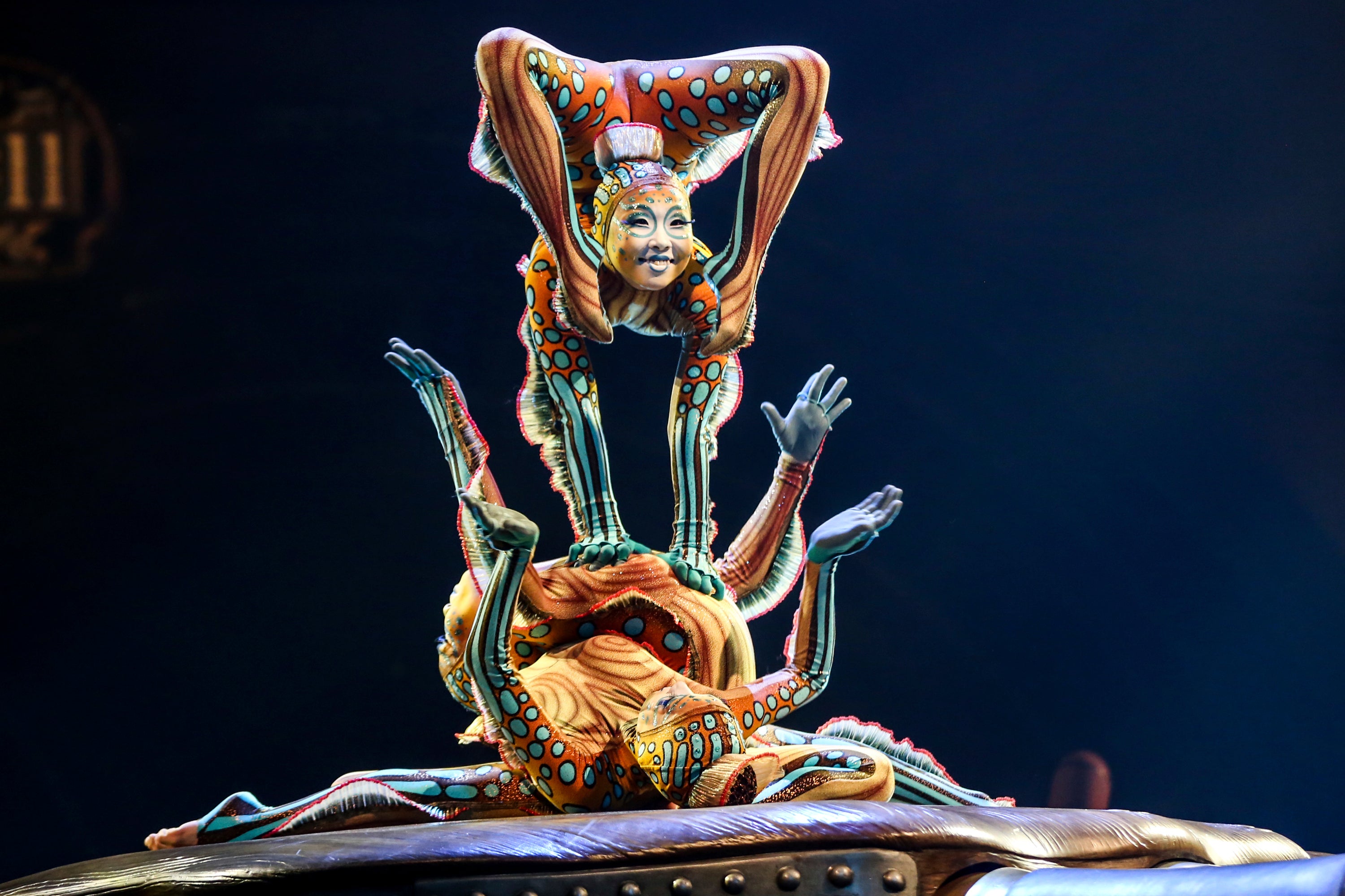 Cirque du Soleil-New York Show