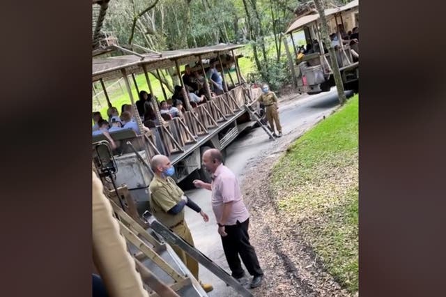 <p>A TikTok user filmed the experience of being evacuated on foot from a lion enclosure in Disney’s Animal Kingdom in Florida</p>