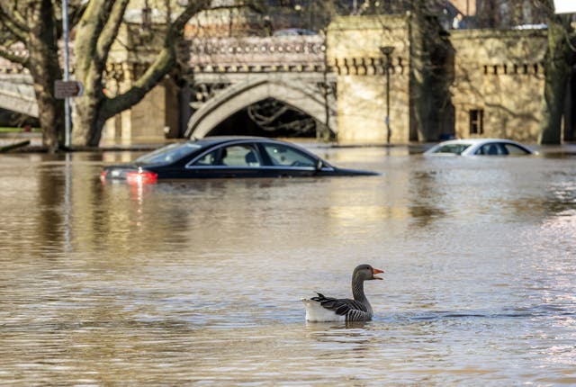A goose swimming past in flood water in York (Danny Lawson/PA)