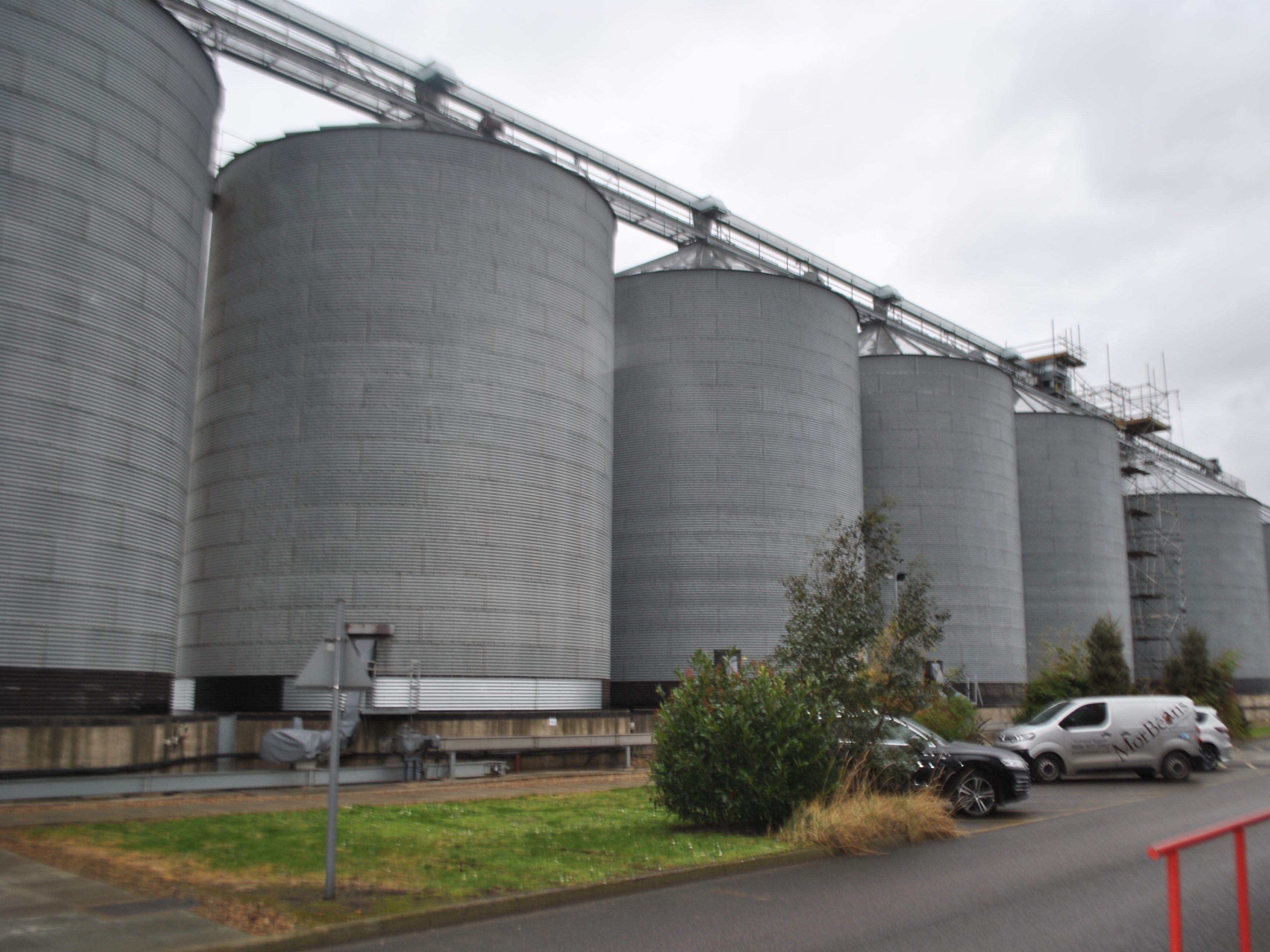 Aged like a fine wine: the rice at Tilda’s Rainham site can be kept in silos for at least a year