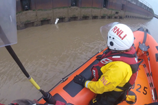 Cat named Icicle rescued from river bank by lifeboat, then given free salmon