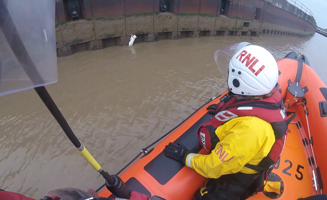 An RNLI crew in Great Yarmouth had an unusual call on Tuesday after a cat was spotted stranded on the side of a river (RNLI/PA)