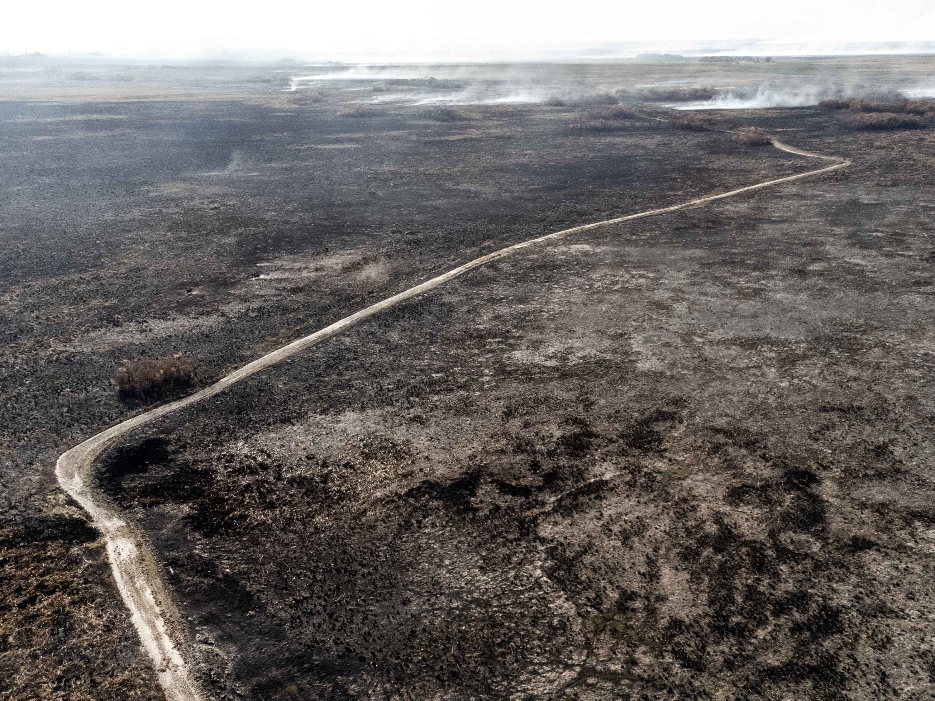 The burnt landscape of the Ibera National Park in the Province of Corrientes