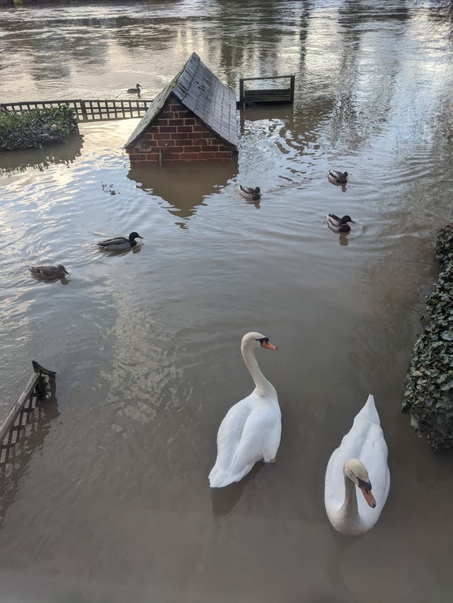 Frustrated Shrewsbury residents have called for immediate action after suffering from flooding three years in a row (Chris Allen)