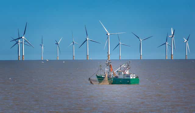 <p>The CCC said investment in renewables rather than more drilling was needed to bring down household bills</p>
