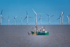 Oil and gas drilling in North Sea must end, government’s own climate advisers say