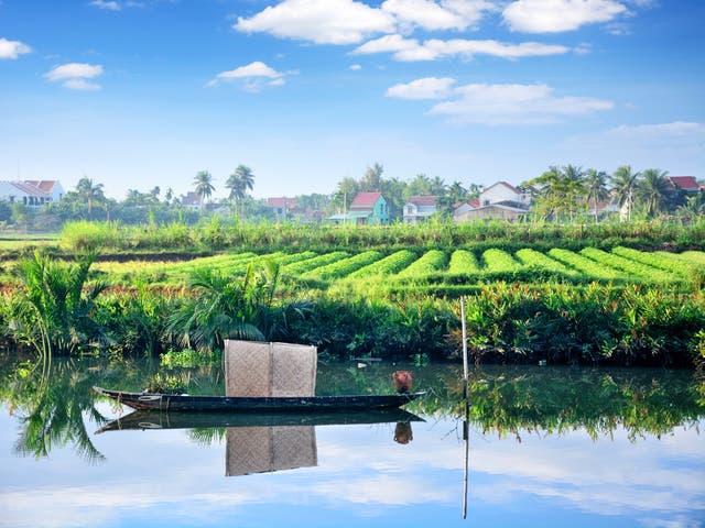 <p>A rural setting in Vietnam’s Mekong Delta</p>