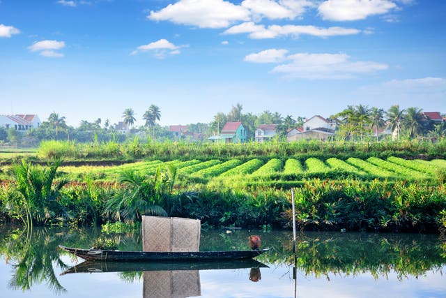 <p>A rural setting in Vietnam’s Mekong Delta</p>
