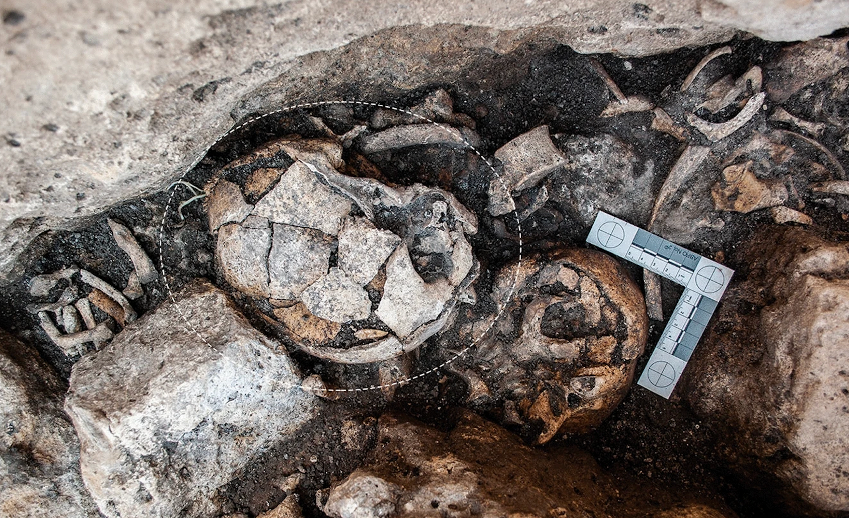 Skull in which the evidence was found, at the El Pendón site