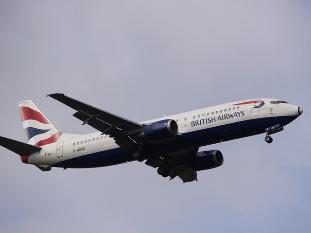 <p>A British Airways 734</p>