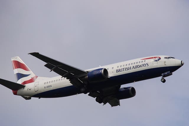 <p>A British Airways 734</p>