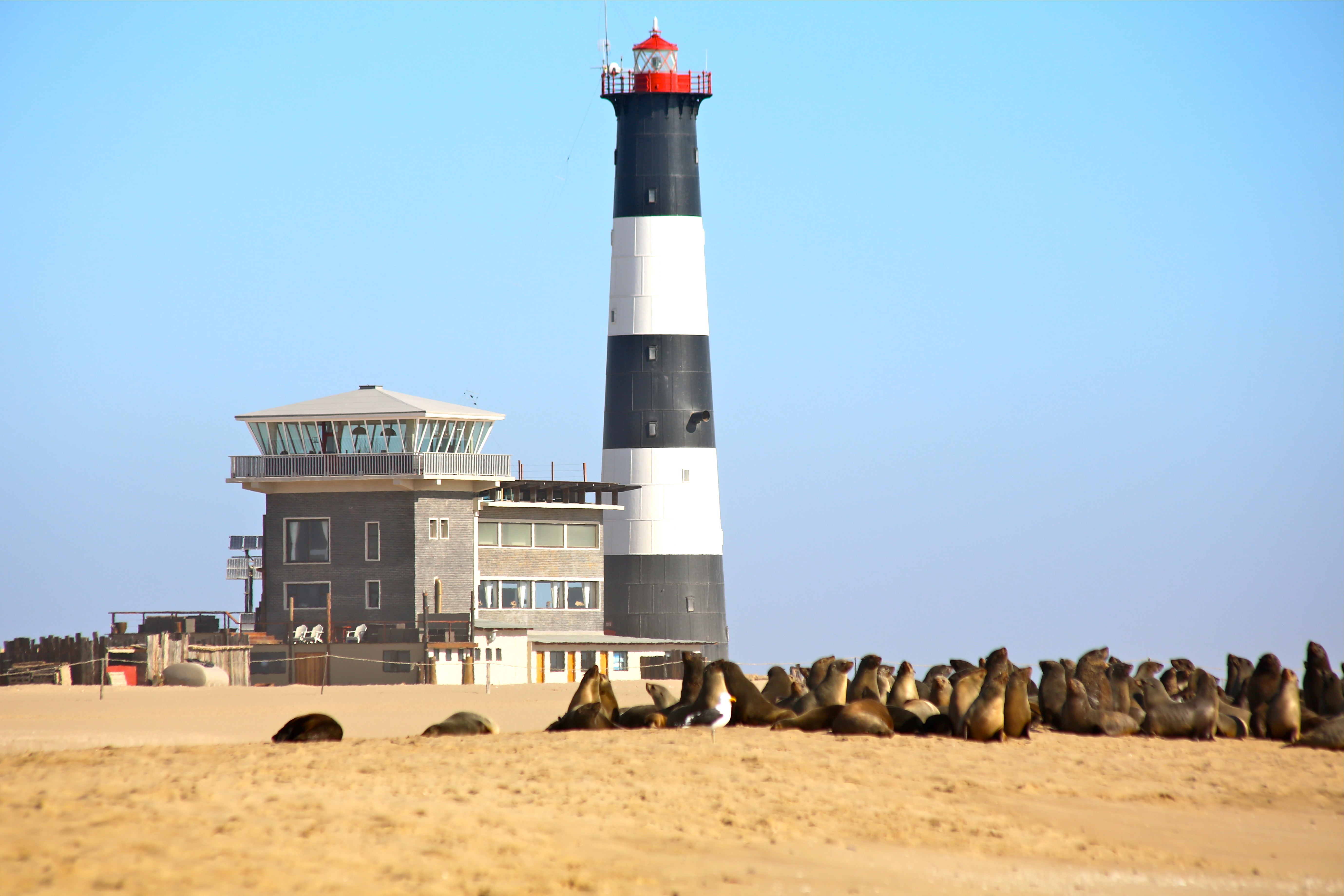 Pelican Point Lodge and lighthouse overlooking Walvis Bay lagoon