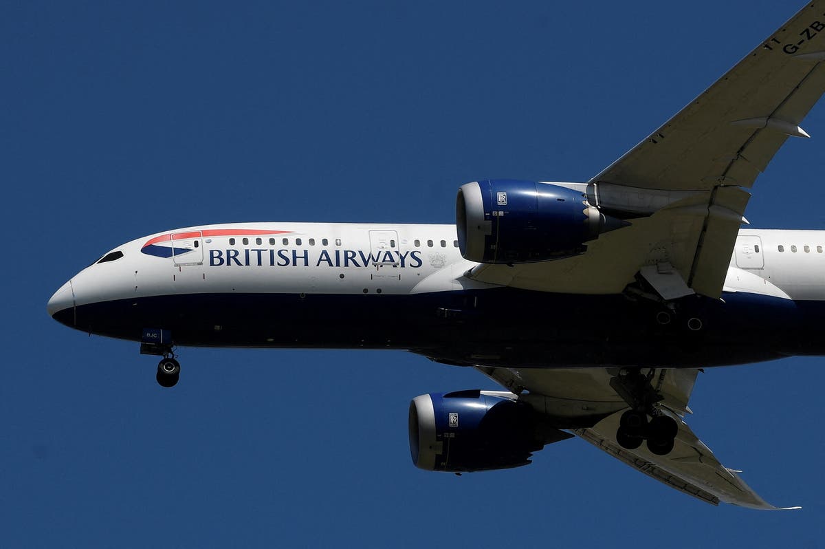 British Airways flights disrupted after airline suffers ‘technical issue’