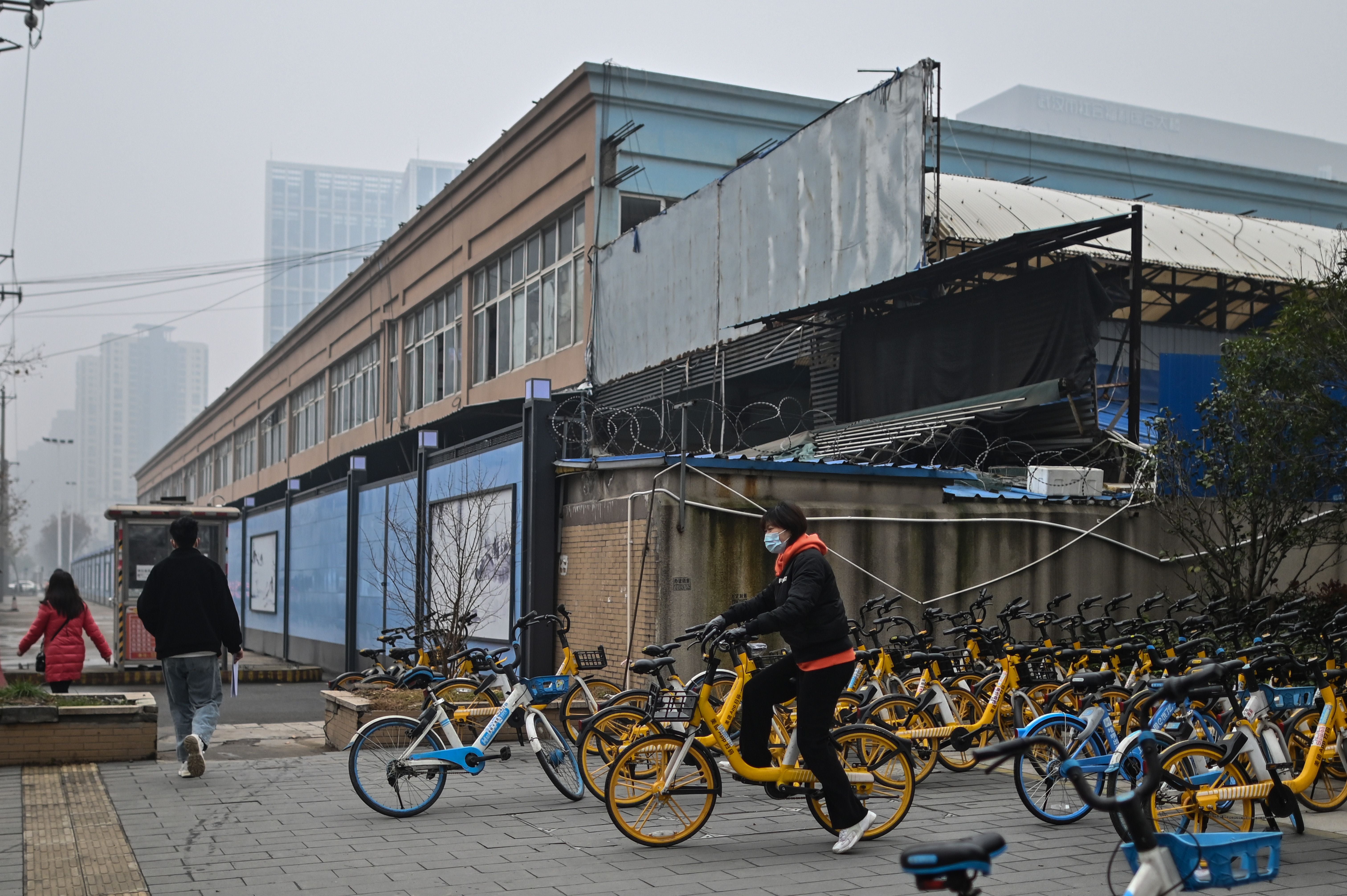 Researchers have said it is beyond ‘reasonable doubt’ that Covid originated in Huanan Seafood Wholesale Market in Wuhan, China