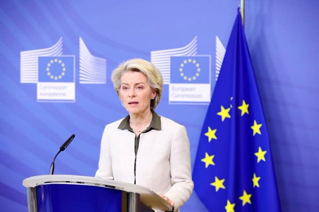 <p>Ursula von der Leyen, president of the EU Commission, said that the EU would present a plan to cut out Russian energy imports by 202 </p>