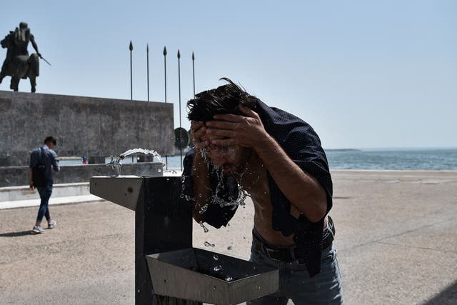 <p>Greece was hit by a heatwave last summer</p>