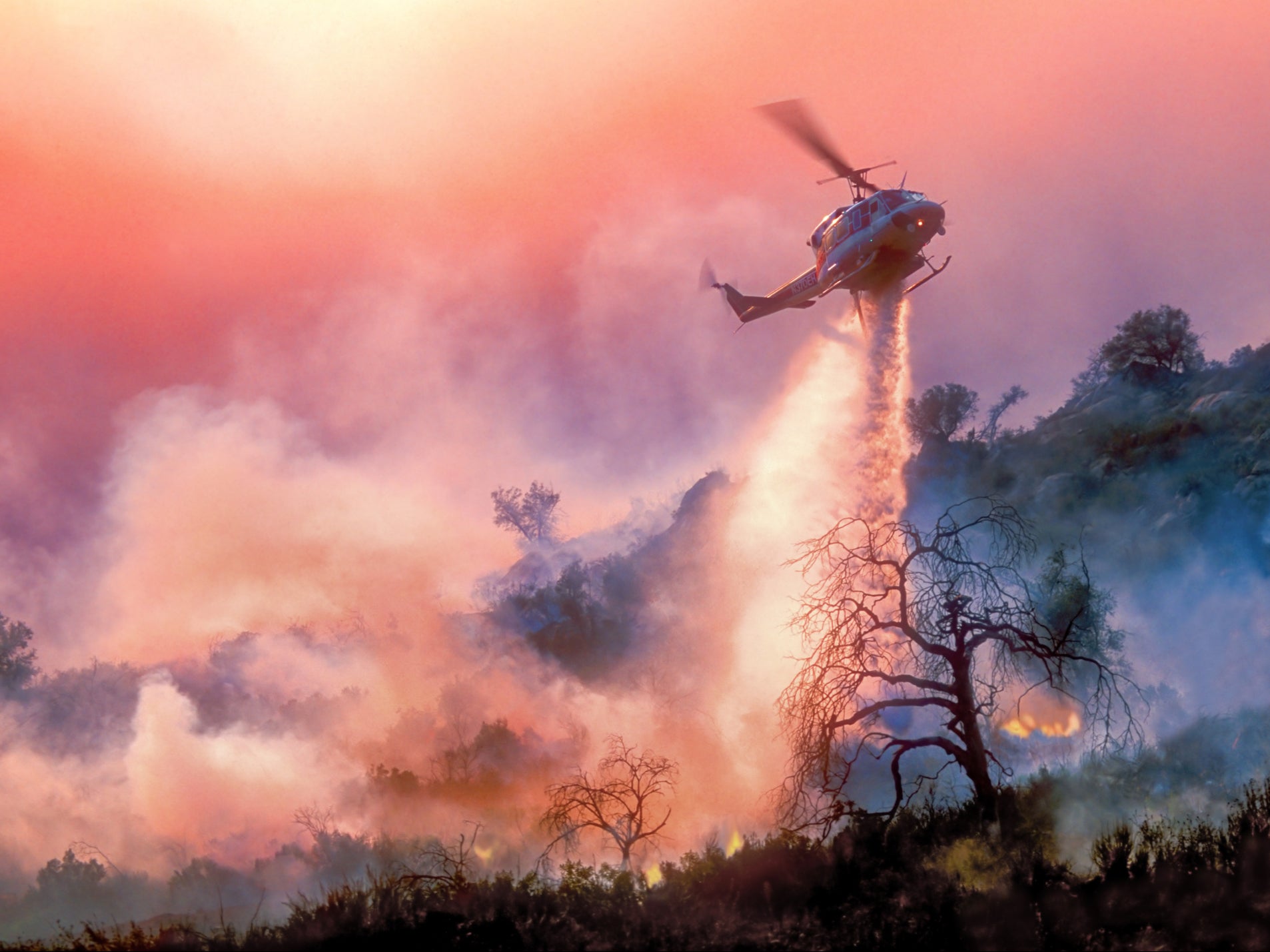 <p>“In just the past four years, record setting wildfires, superstorms, and heat waves have already cost our country tens of billions of dollars more in damages,” the House Democrat letter to President Joe Biden reads. </p>