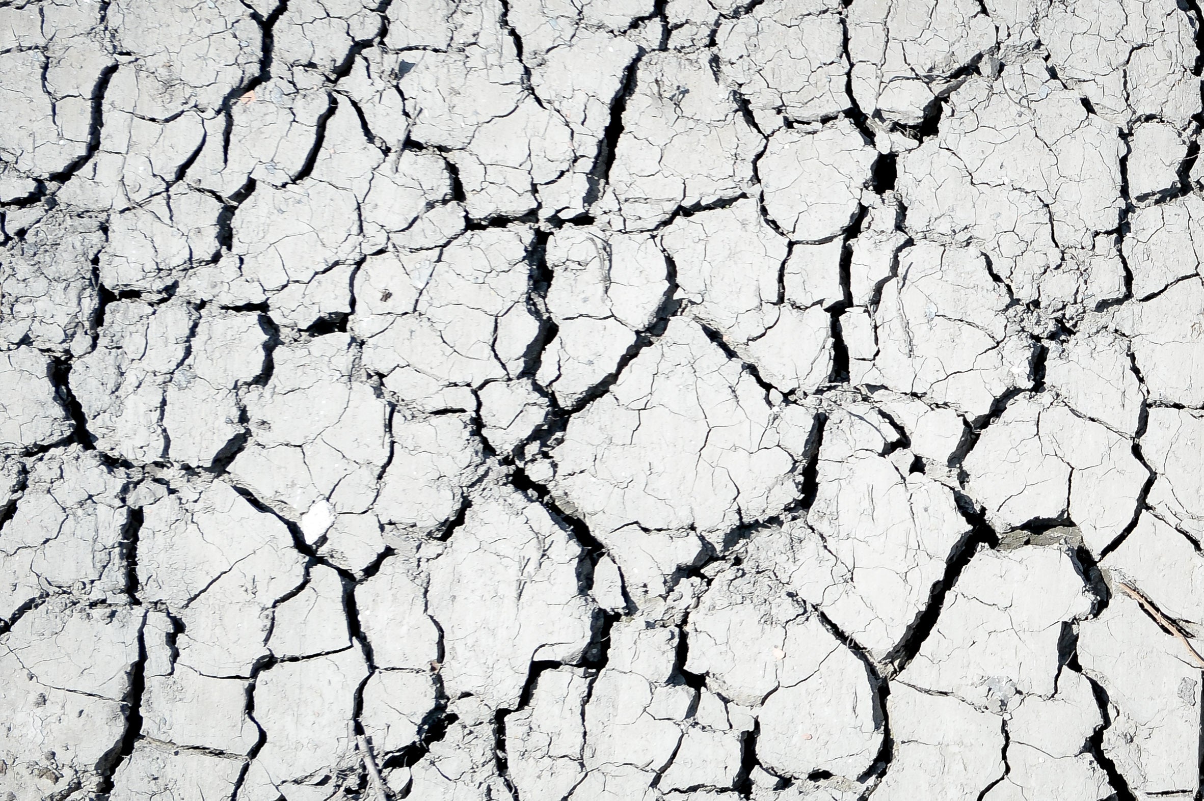Cracked mud seen amid drought risk (Ben Birchall/PA)
