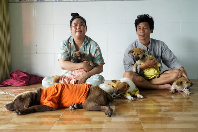 <p>Nguyen Thi Chi Em and Pham Minh Hung sit with their newly adopted dogs after their 15 previous pets were culled by authorities</p>
