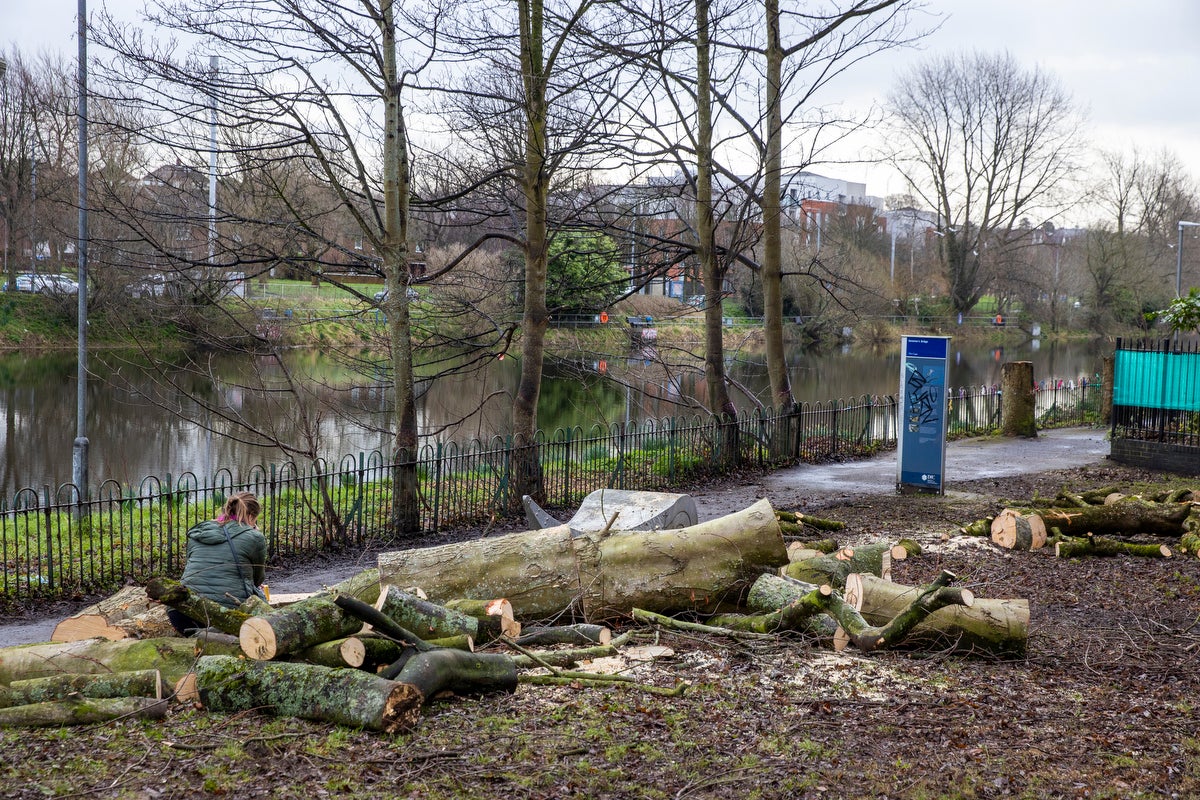 Annadale Flats resident Lis McKee sits on a felled tree after a final tree clearance started on the Lockview area of Stranmillis in Belfast (Liam McBurney/PA)