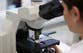 Scientists link gut bacteria to early stages of Parkinson’s disease
