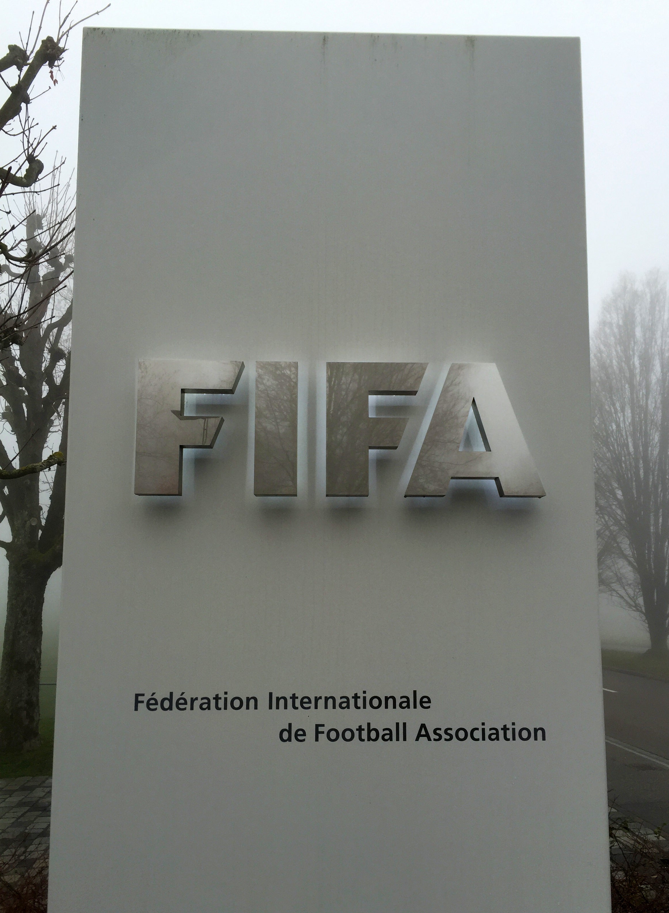 Fifa is a nonprofit organization (Martyn Ziegler/PA)