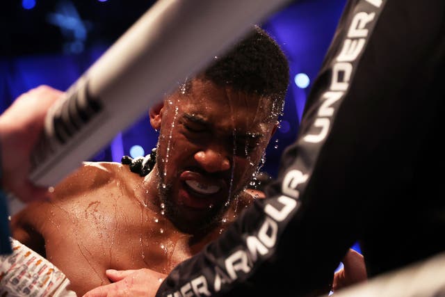 <p>Anthony Joshua during his heavy points loss to Oleksandr Usyk</p>