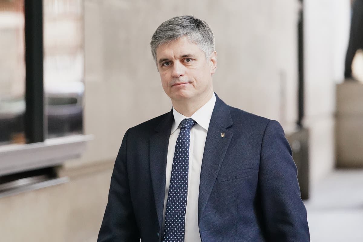 Putin could try to starve Ukrainian cities into surrender, ambassador warns