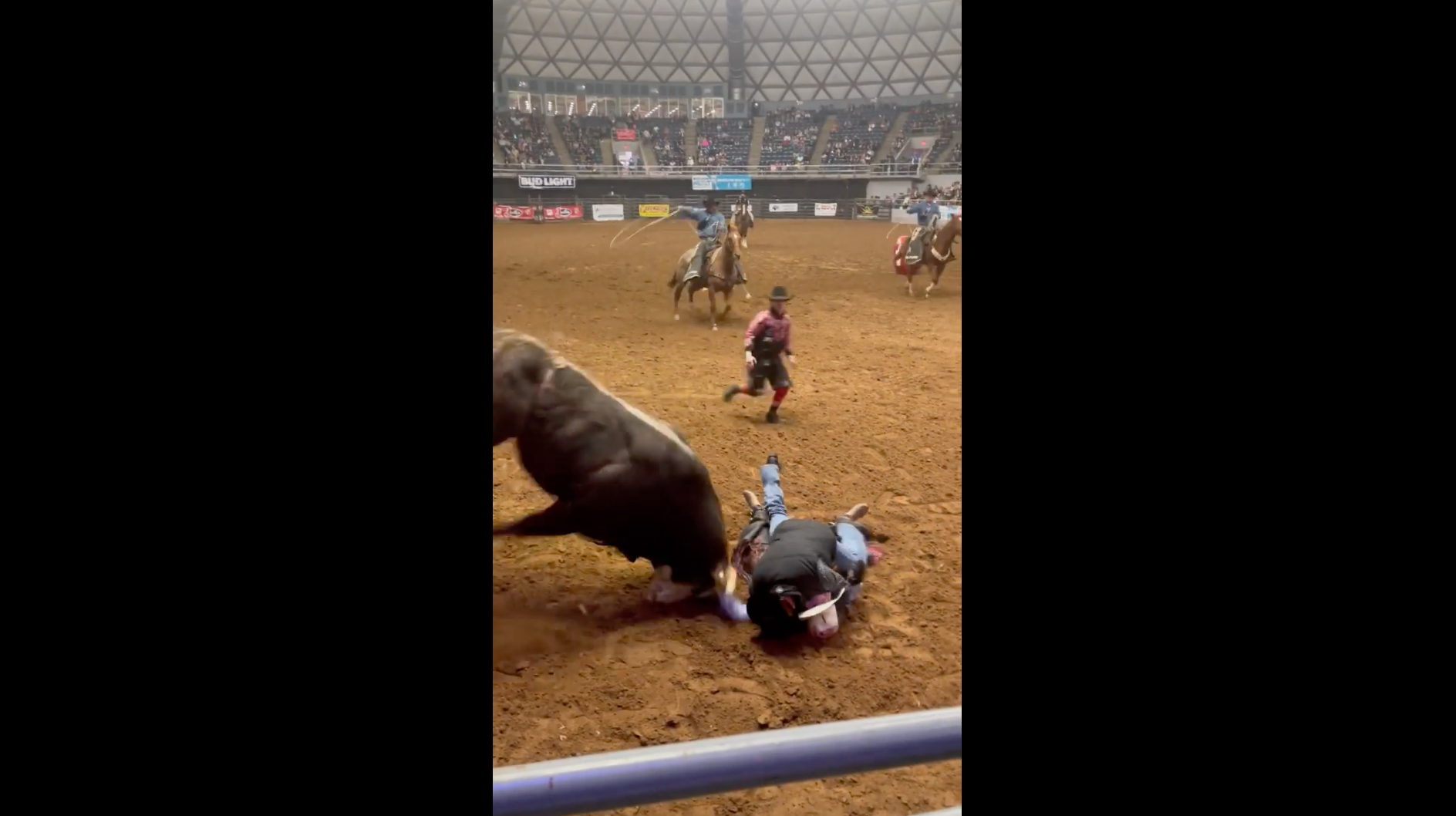 Bull charges Cody Hooks and his father as son lies motionless in the bull ring