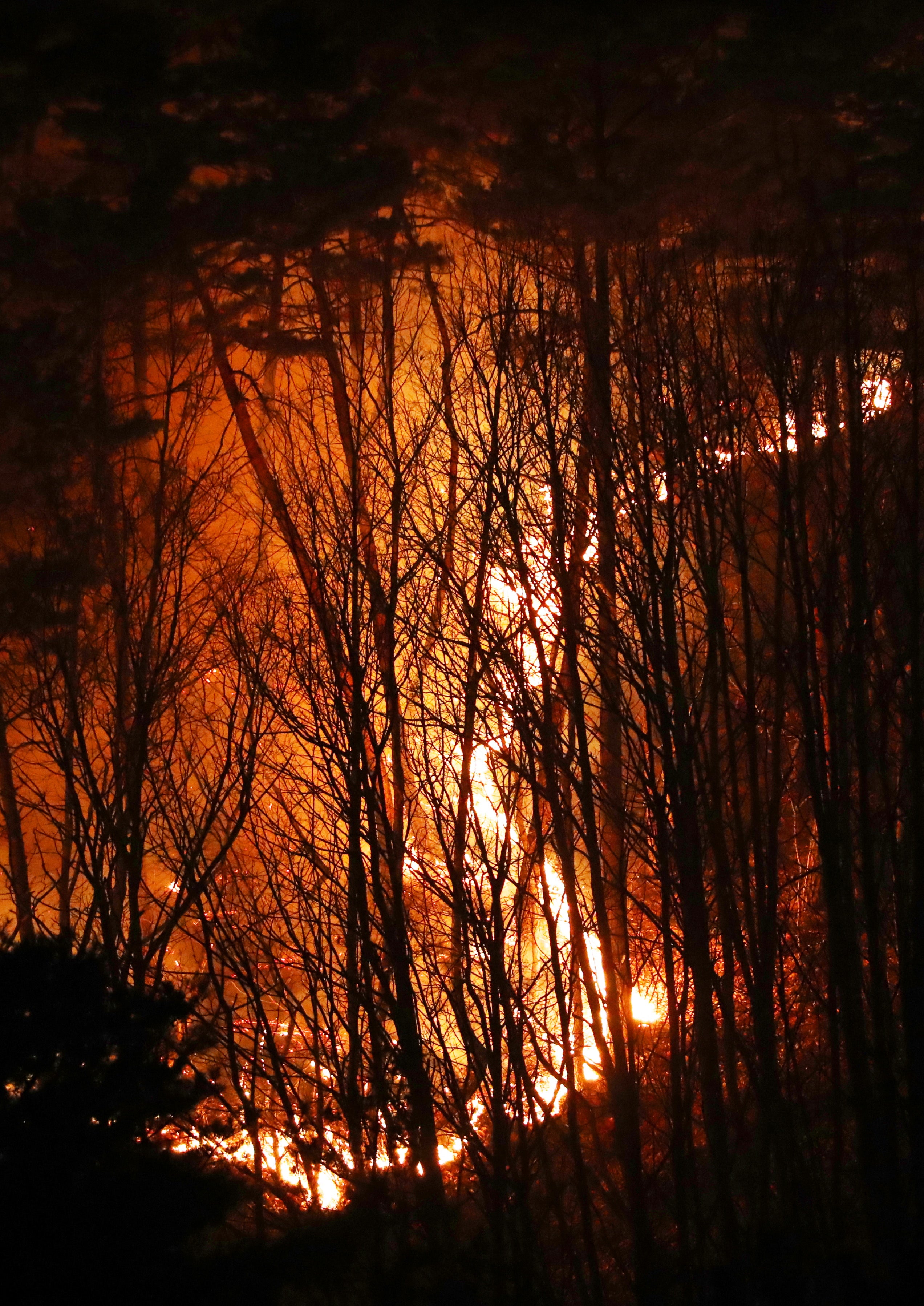 Wildfire rages on a mountain in the coastal country of Yeongdeok, South Korea