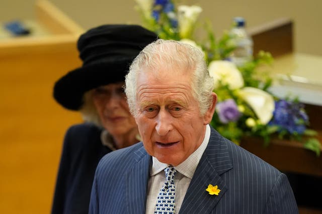 The Prince of Wales (Gareth Fuller/PA)