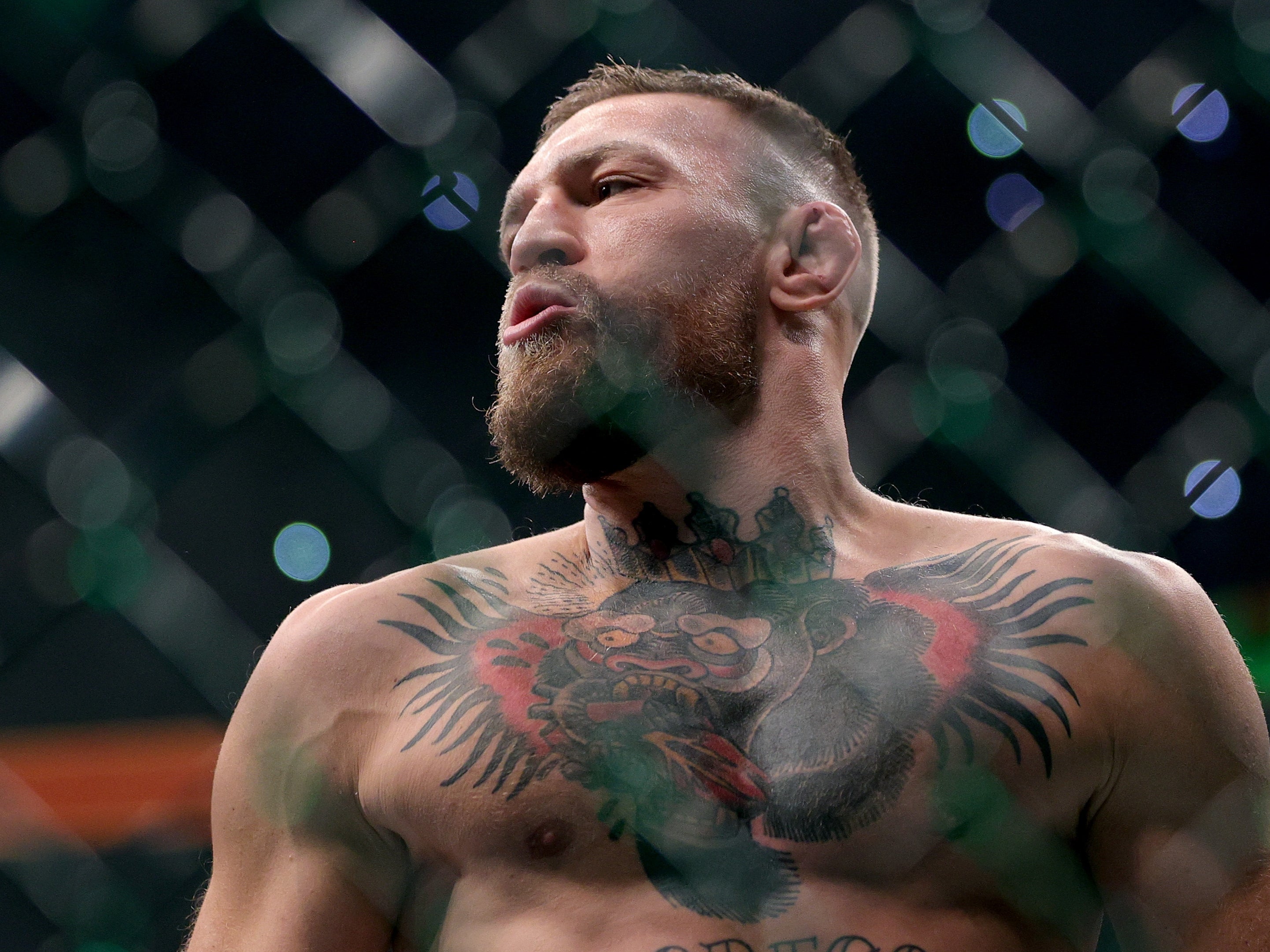 Former dual-weight UFC champion Conor McGregor