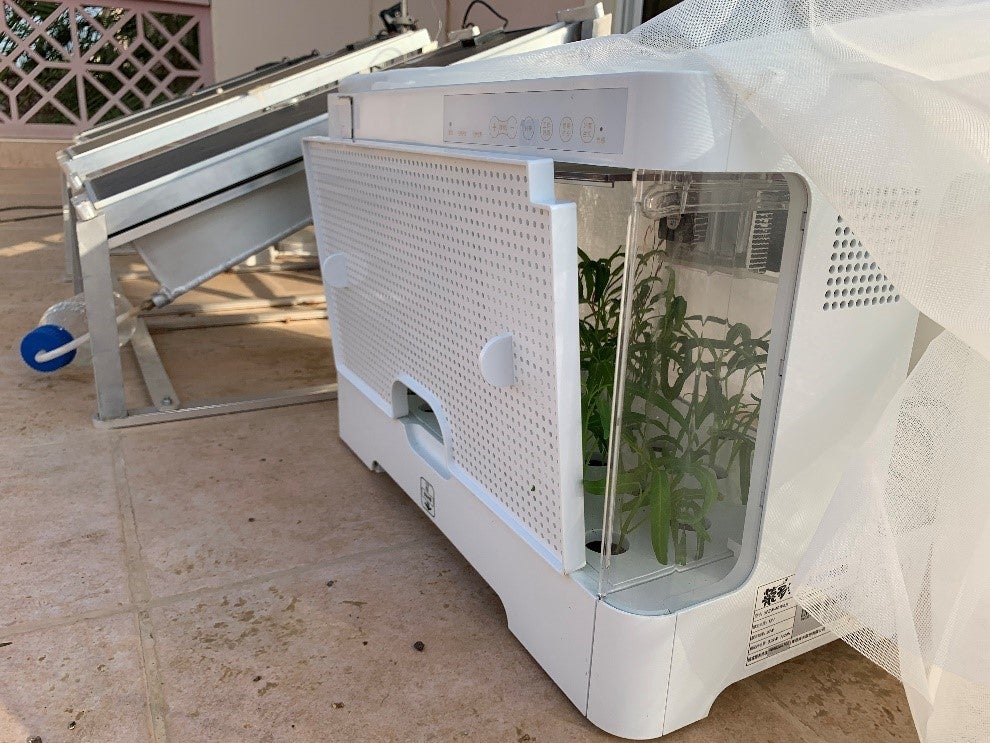 The device is connected to a plant-growing box that contains 60 water spinach seeds