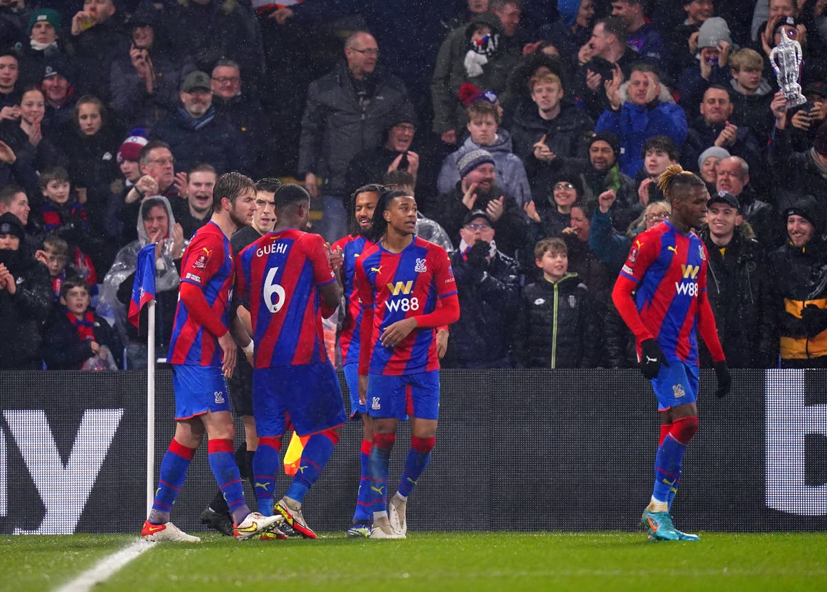 Jairo Riedewald the unlikely hero as Crystal Palace see off Stoke