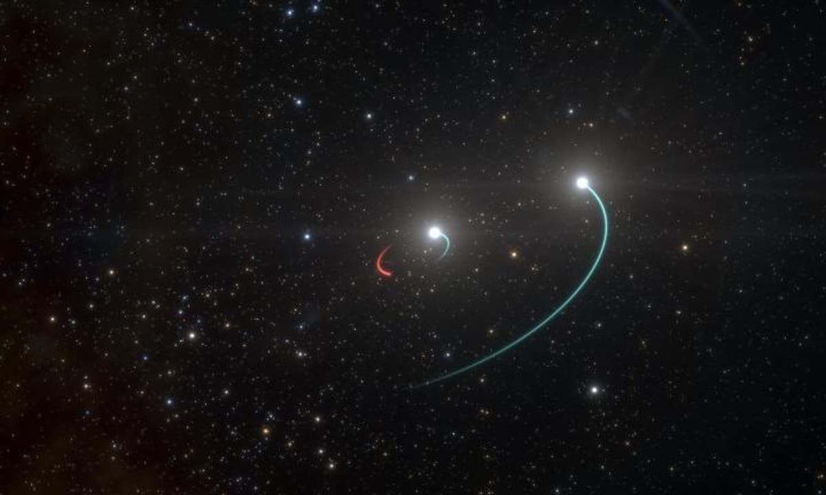 Star system thought to contain Earth’s ‘closest black hole’ doesn’t actually have it, study finds