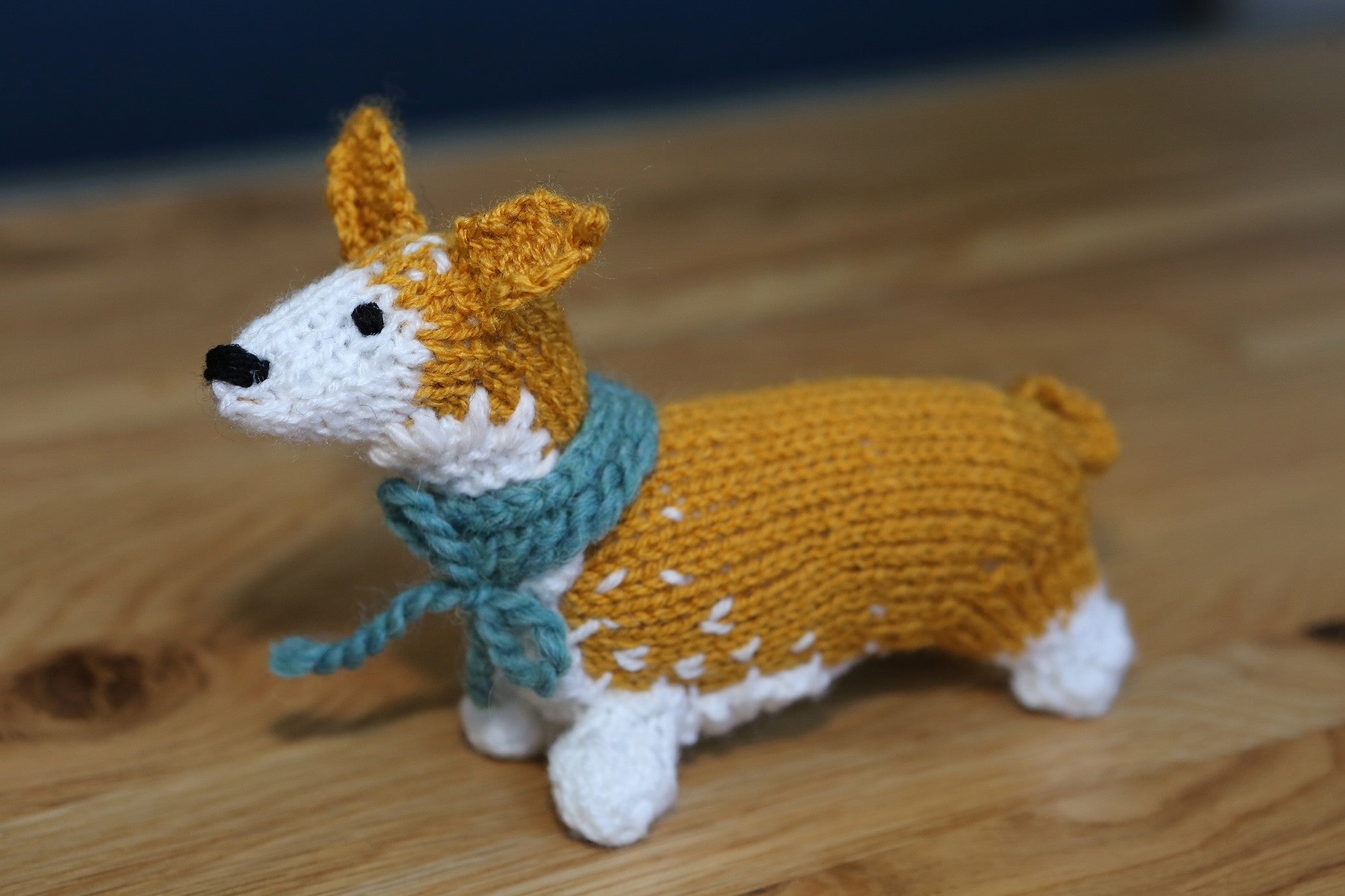 Knitted corgis will be hidden around the country