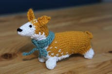Women’s Institute launches corgi knitting competition for Queen’s Platinum Jubilee