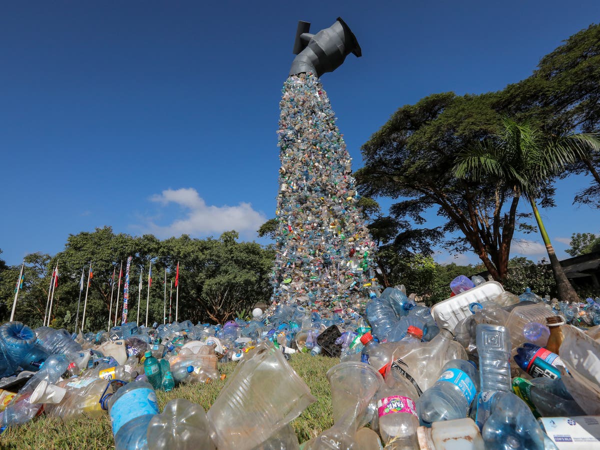 UN agrees global plastic pollution treaty in ‘most significant green deal since Paris 2015’